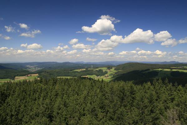 Quelle: fotolia.com